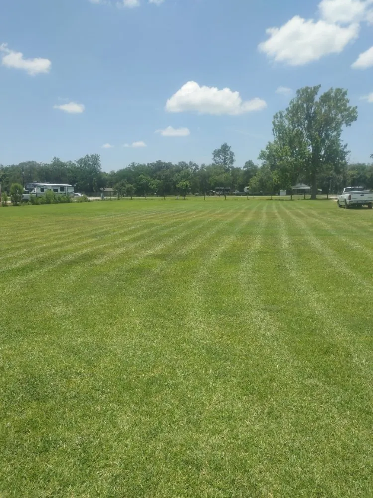 Reliable outdoor landscaping for homes in Brazoria, TX by RCG Property Maintenance