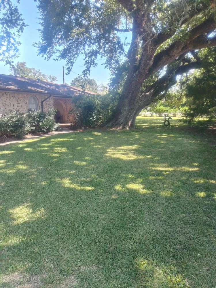 Custom garden landscaping for homes across Brazoria, TX - RCG Property Maintenance