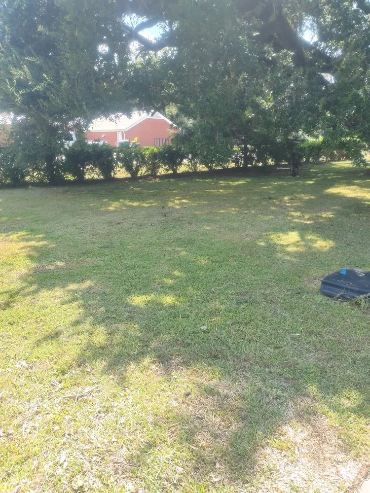 Reliable residential landscaping in Brazoria, TX by RCG Property Maintenance