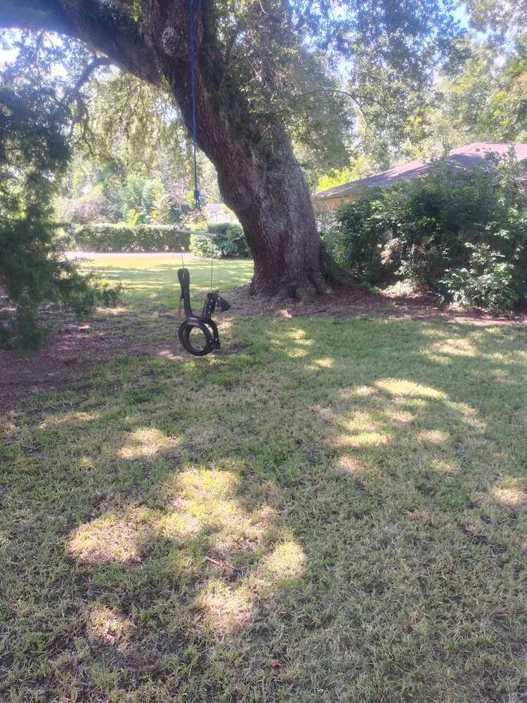 Reliable landscaping services for beautiful yards across Brazoria, TX - RCG Property Maintenance