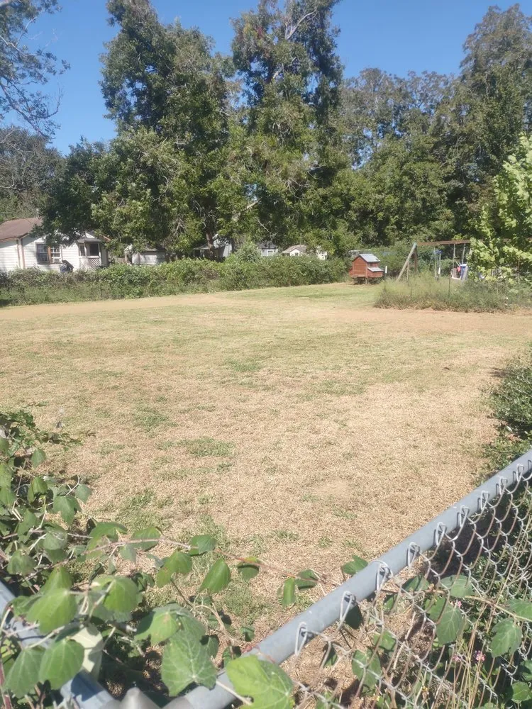 Expert lawn care service in Brazoria, TX - RCG Property Maintenance