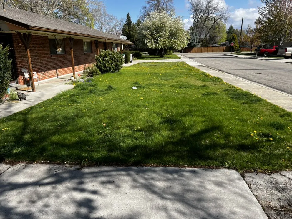 Top-rated residential landscaping for year-round maintenance in Boise, ID by RCH Landscaping