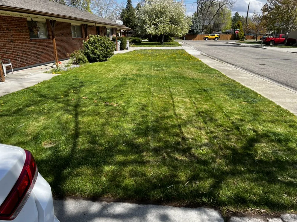 Affordable landscape design in Boise, ID - RCH Landscaping