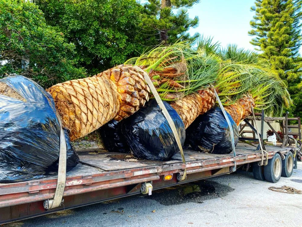 Affordable landscaping services near you across Delray Beach, FL - RCH Landscaping