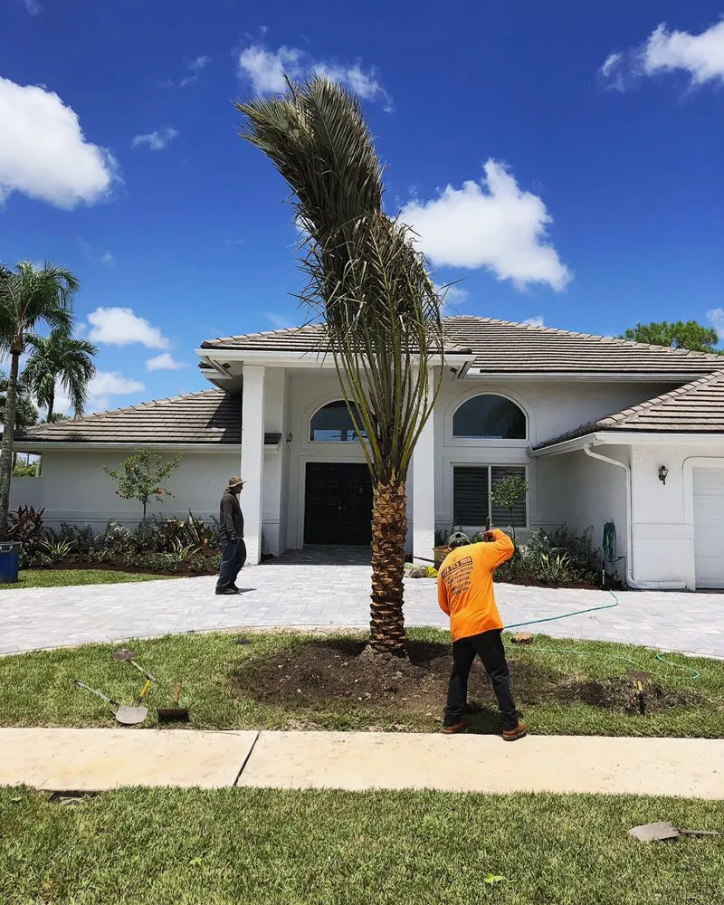 Custom residential landscaping experts serving Delray Beach, FL - RCH Landscaping