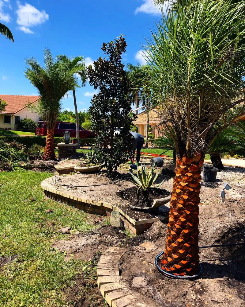 Affordable outdoor landscaping with custom design across Delray Beach, FL - RCH Landscaping