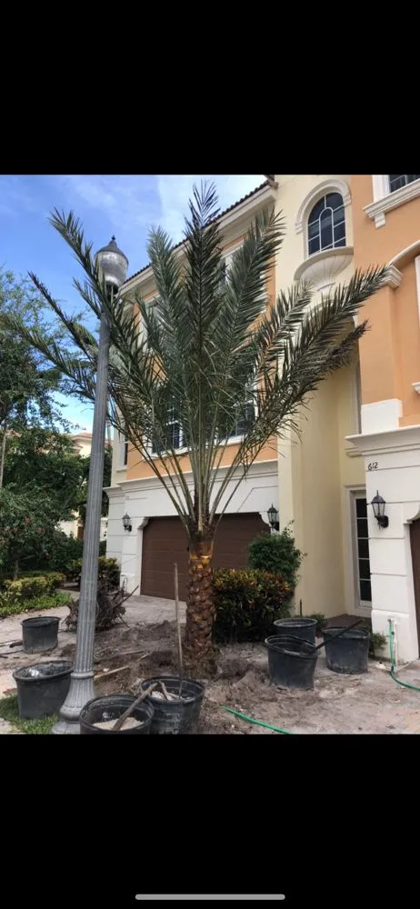 Affordable landscape installation experts serving Delray Beach, FL - RCH Landscaping