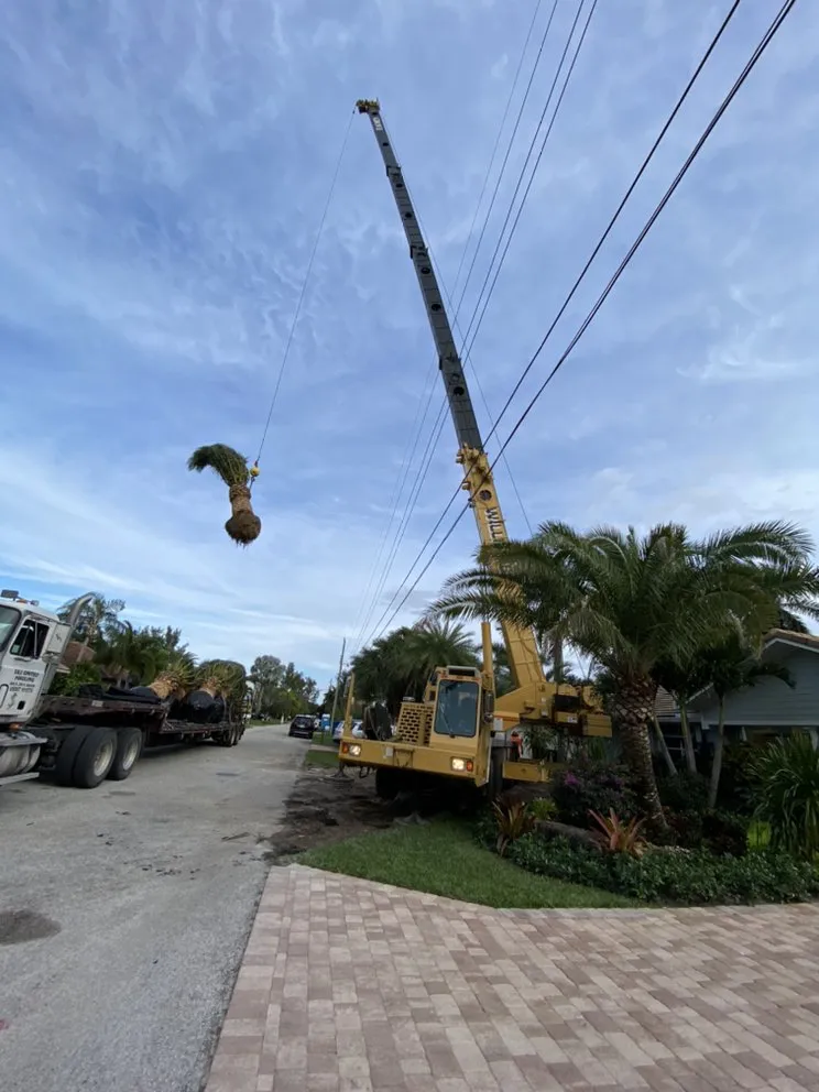 Trusted lawn care service experts serving Delray Beach, FL - RCH Landscaping