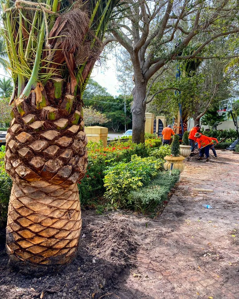 Top-rated lawn care service experts serving Delray Beach, FL - RCH Landscaping