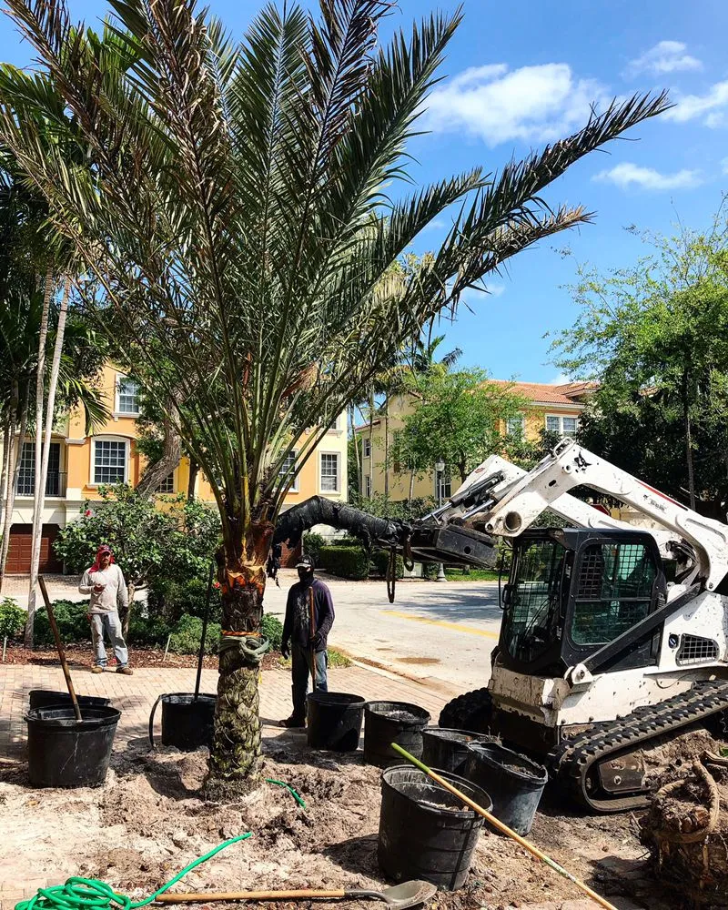 Top-rated landscape design in Delray Beach, FL by RCH Landscaping