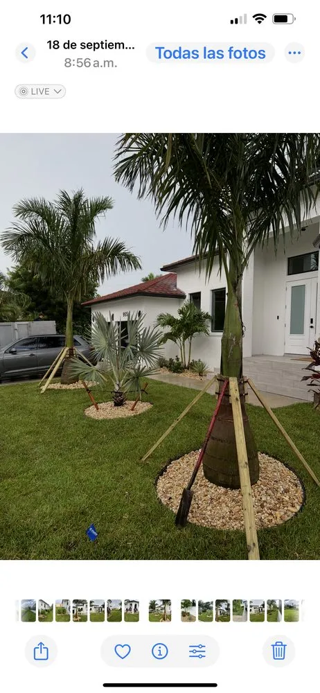 Affordable lawn mowing service for beautiful yards across Naples, FL - Rch Pro Services