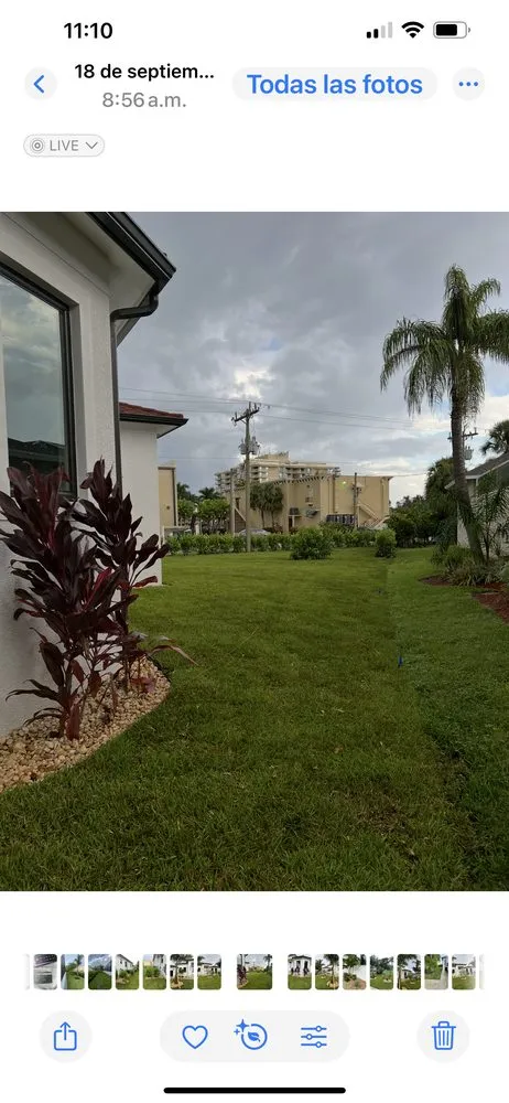 Expert landscaping services in Naples, FL by Rch Pro Services