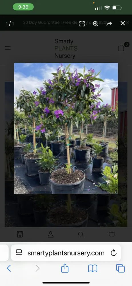 Custom garden landscaping experts serving Naples, FL - Rch Pro Services