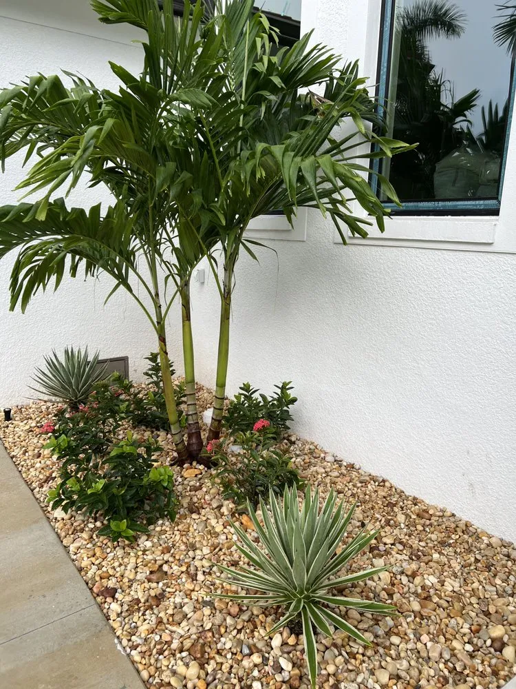 Expert lawn mowing service in Naples, FL - Rch Pro Services