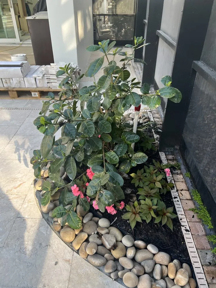 Top-rated garden landscaping in Naples, FL - Rch Pro Services