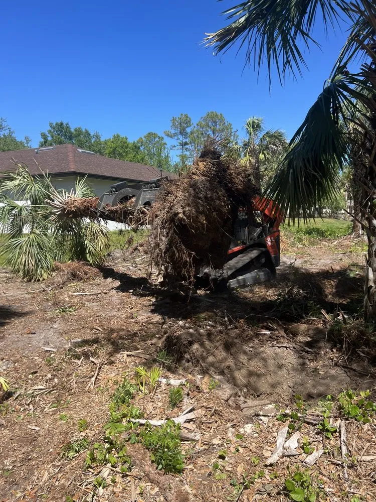 Trusted yard cleanup service in Naples, FL by Rch Pro Services