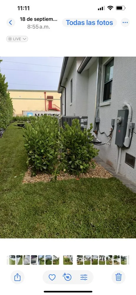 Local lawn care service for beautiful yards across Naples, FL - Rch Pro Services