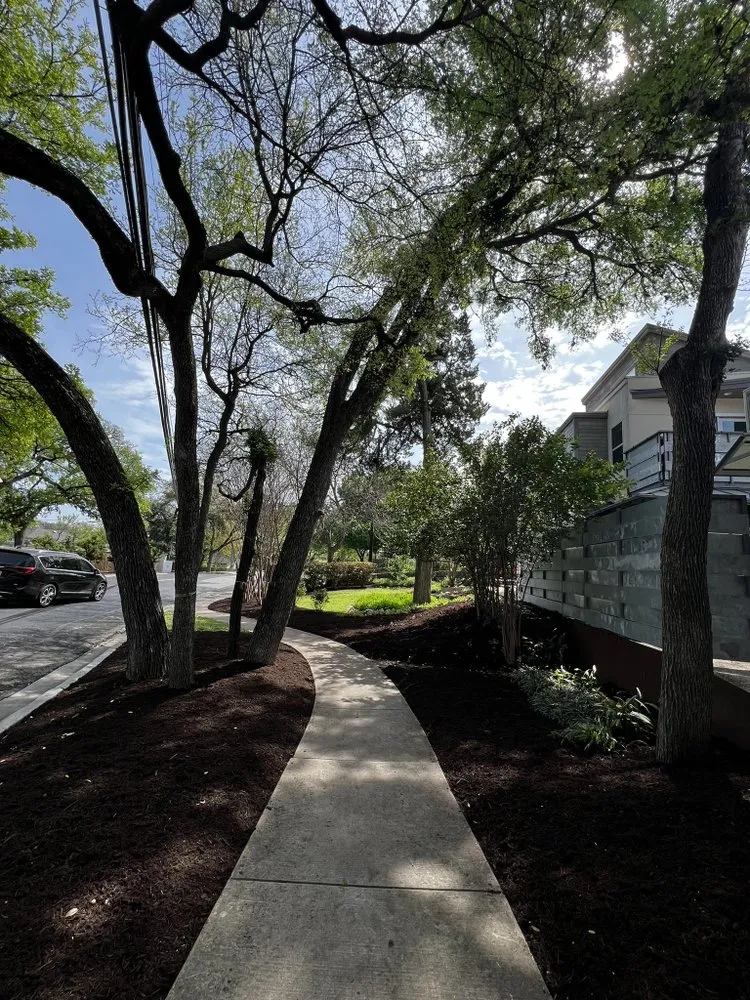 Affordable yard cleanup service experts serving Austin, TX - RCL Landscaping