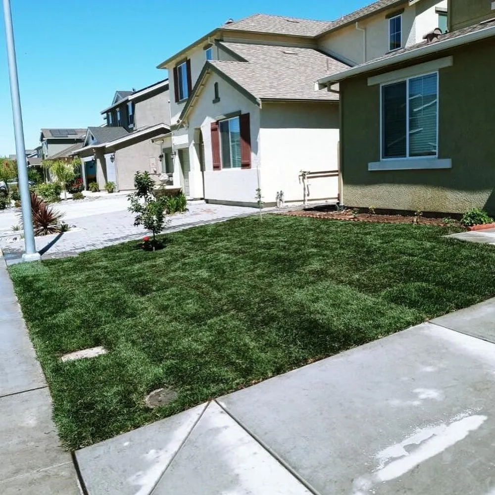 Reliable landscaping services with custom design across Oakley, CA - RCM Landscape Contractors