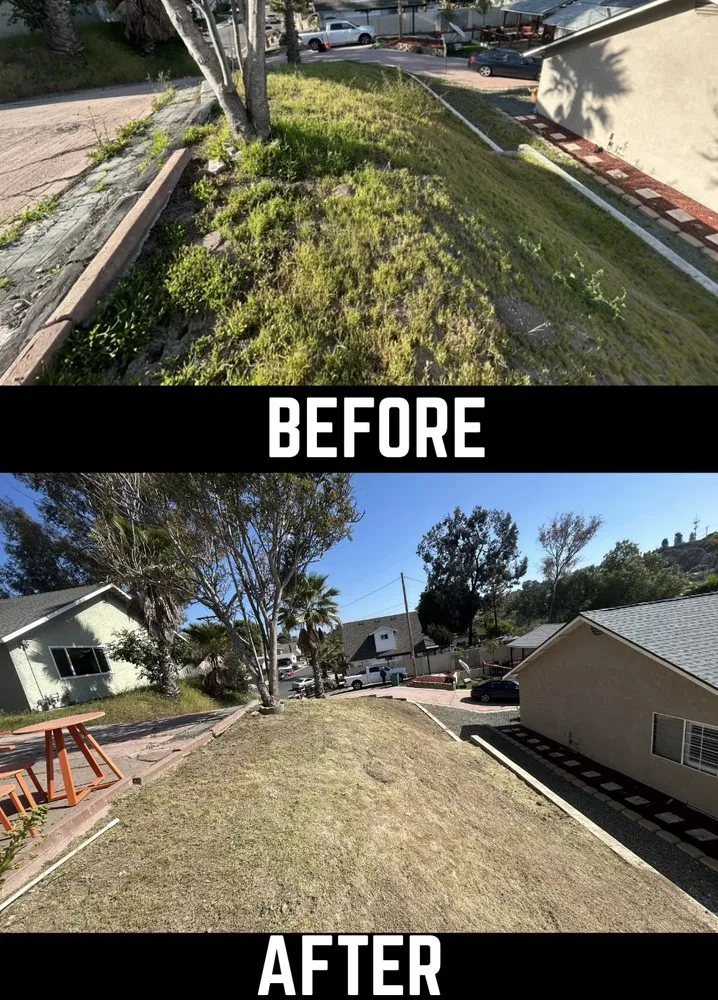 Top-rated landscape installation in San Diego, CA by RCM Landscaping