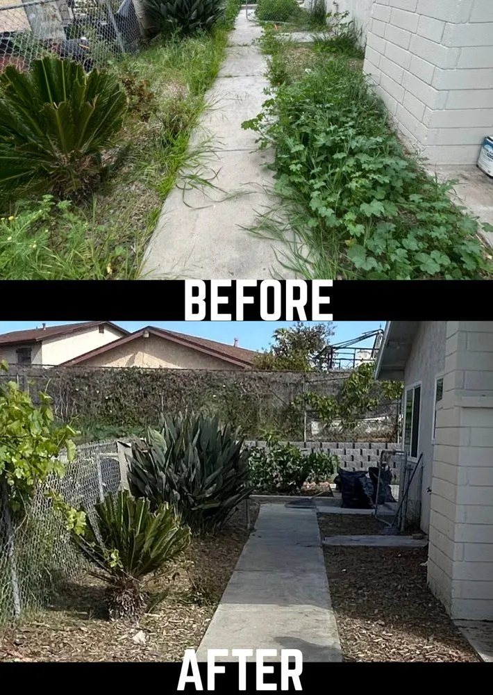 Trusted yard cleanup service for outdoor upgrades in San Diego, CA by RCM Landscaping