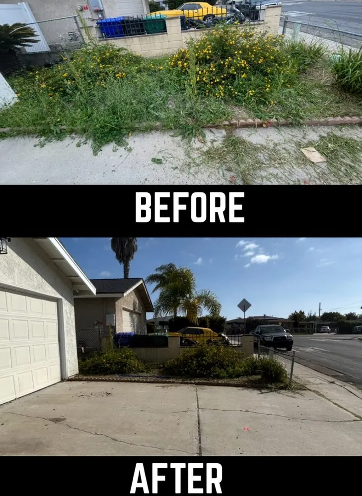 Trusted outdoor landscaping in San Diego, CA - RCM Landscaping