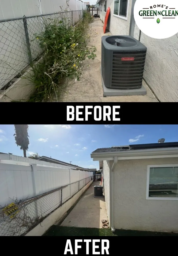 Top-rated yard cleanup service in San Diego, CA by RCM Landscaping