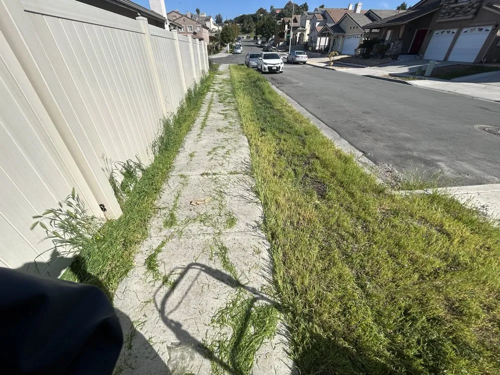 Local landscape installation in San Diego, CA - RCM Landscaping