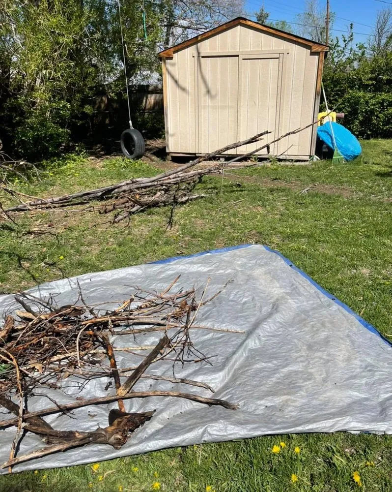 Expert lawn mowing service with custom design in Englewood, CO by Rcore, Rodriguez Lawn Care