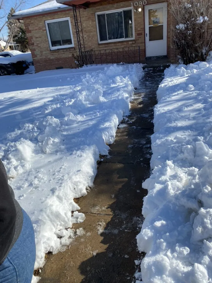 Expert outdoor landscaping for beautiful yards across Englewood, CO - Rcore, Rodriguez Lawn Care