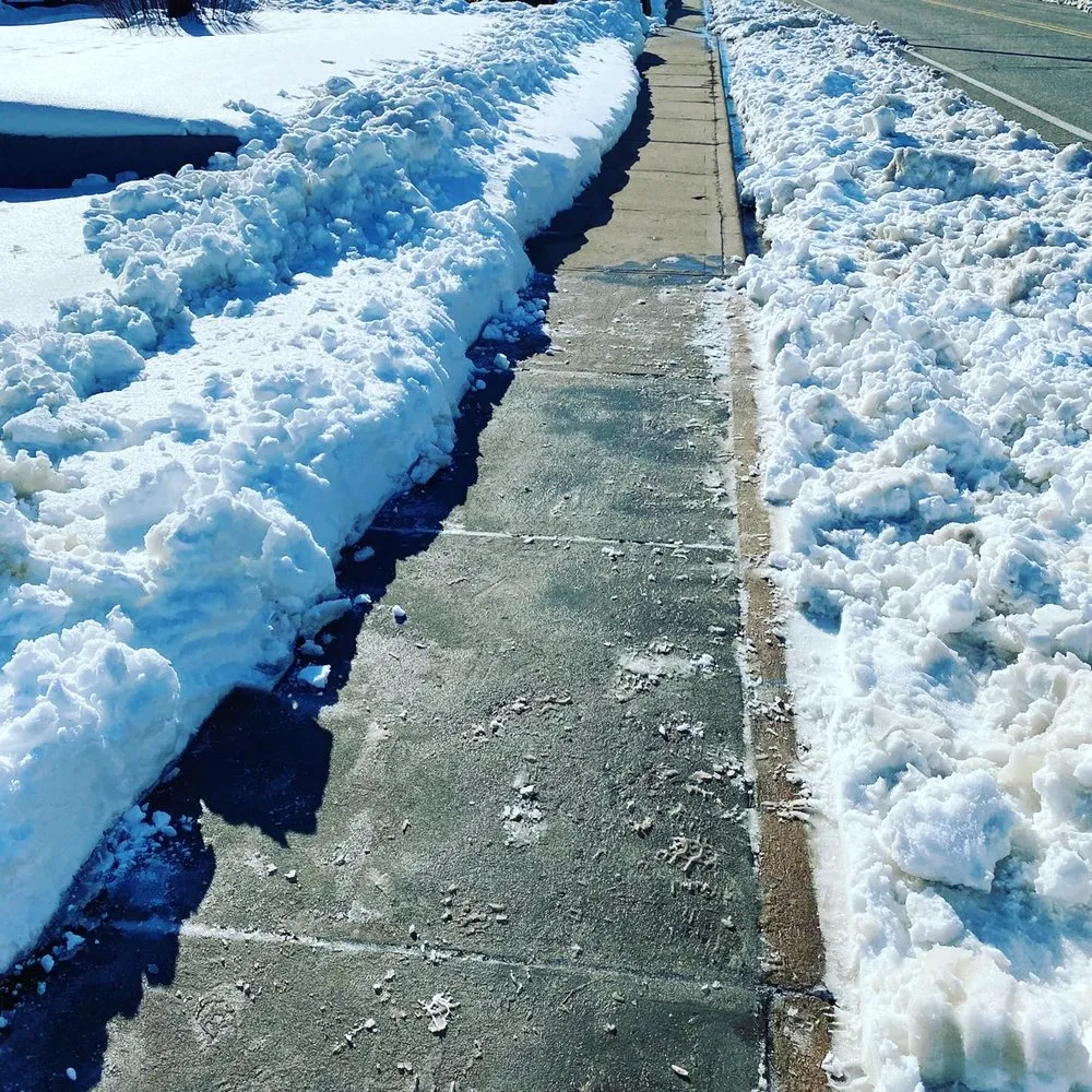 Expert yard cleanup service in Englewood, CO by Rcore, Rodriguez Lawn Care