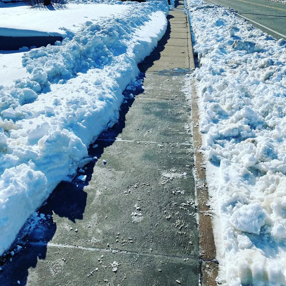 Professional yard cleanup service in Englewood, CO by Rcore, Rodriguez Lawn Care