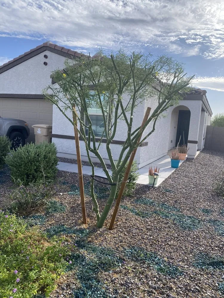 Custom yard maintenance for outdoor upgrades across Surprise, AZ - RCP Landscaping
