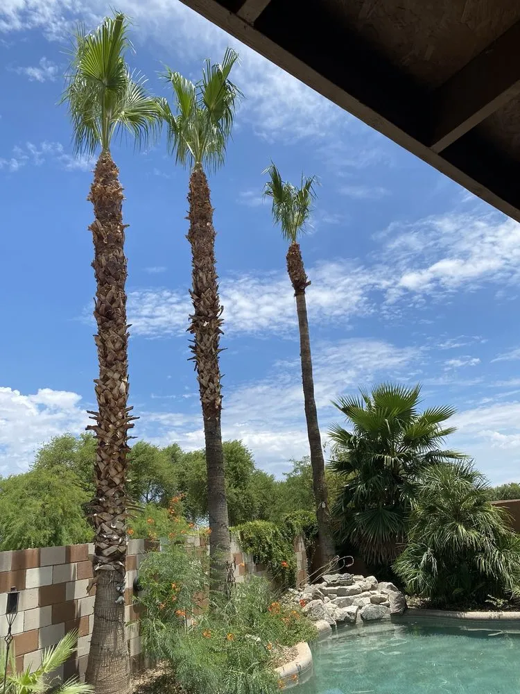 Affordable outdoor landscaping in Surprise, AZ by RCP Landscaping