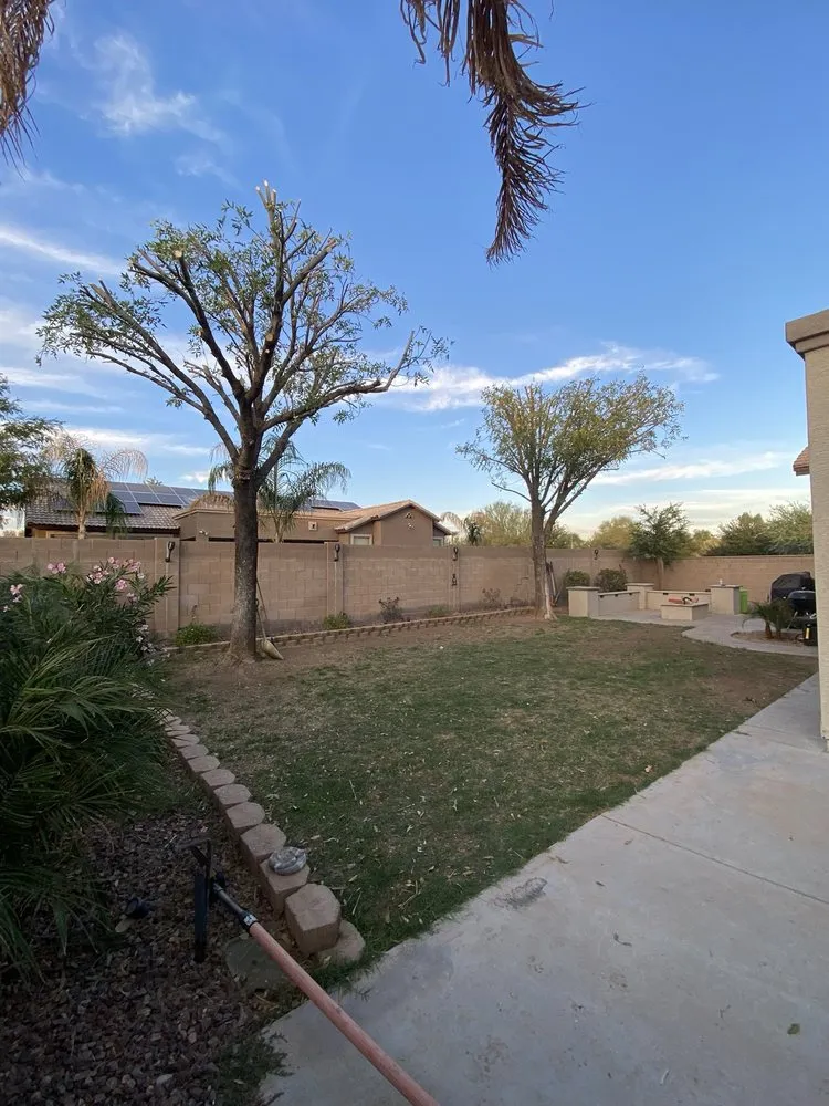 Trusted yard maintenance experts serving Surprise, AZ - RCP Landscaping