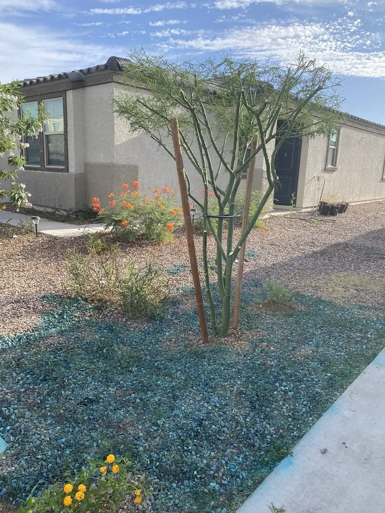 Expert lawn care service for residential properties in Surprise, AZ by RCP Landscaping