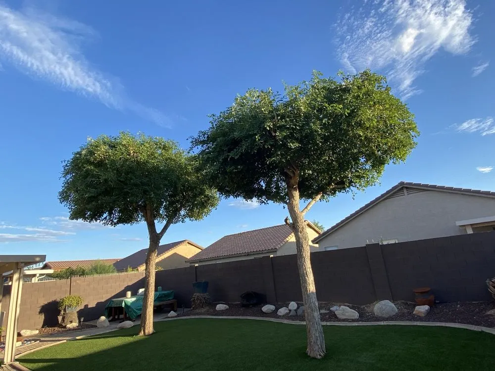 Reliable outdoor landscaping in Surprise, AZ - RCP Landscaping