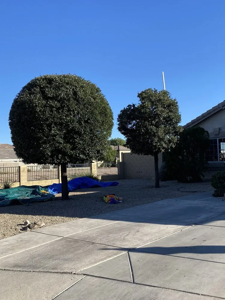 Expert yard maintenance for outdoor upgrades in Surprise, AZ by RCP Landscaping