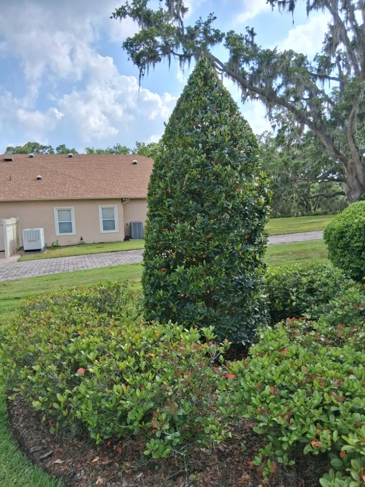 Affordable lawn care service in Lakeland, FL - Rcp Lawn Services