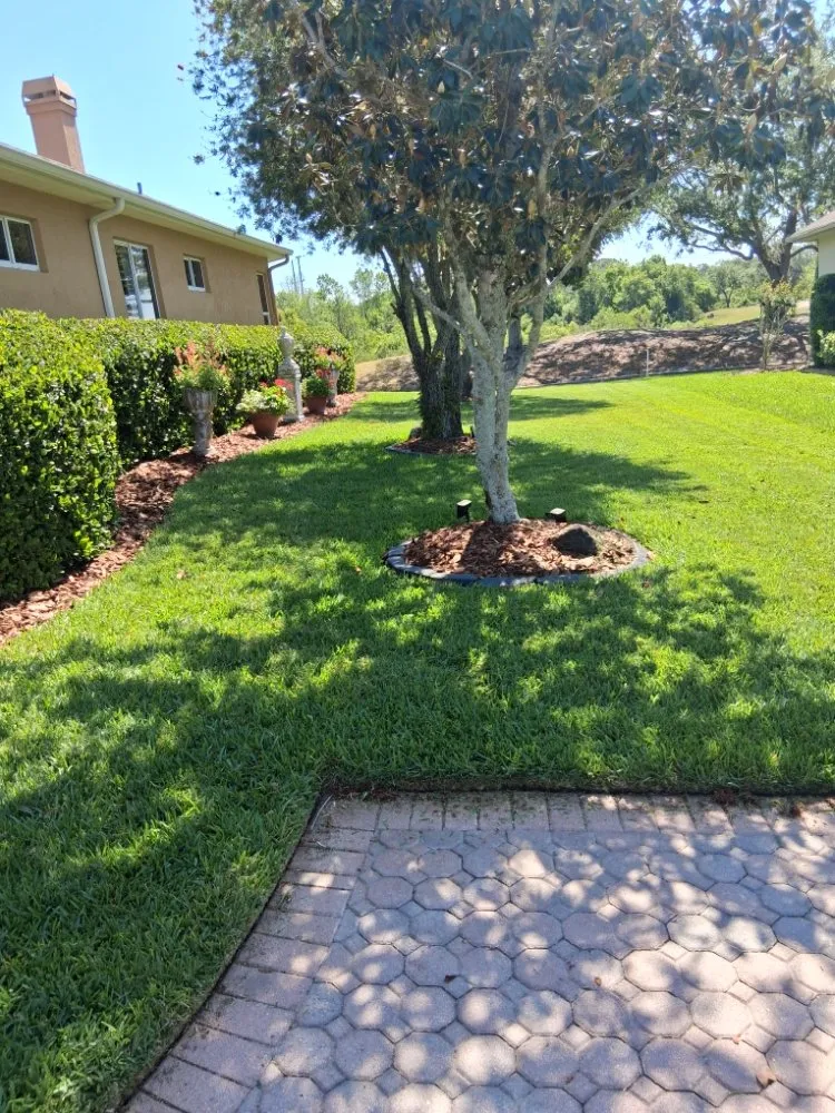 Expert landscape installation in Lakeland, FL - Rcp Lawn Services