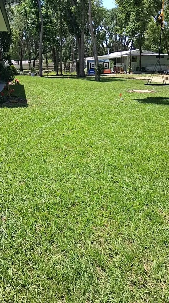 Affordable landscaping services near you in Lakeland, FL by Rcp Lawn Services