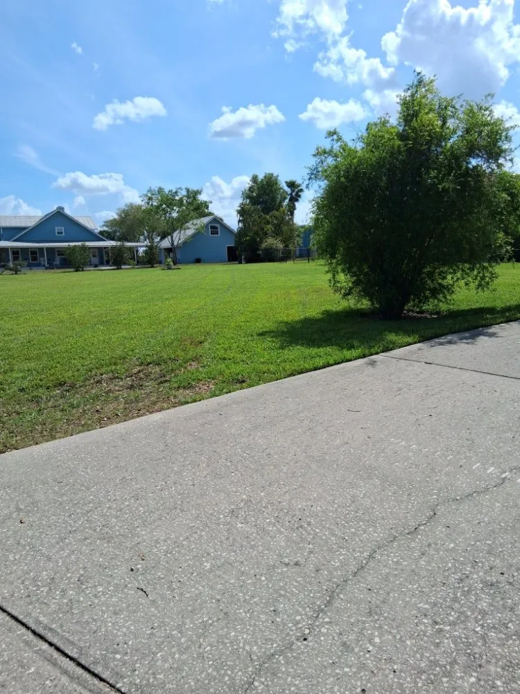 Affordable landscaping services for beautiful yards across Lakeland, FL - Rcp Lawn Services