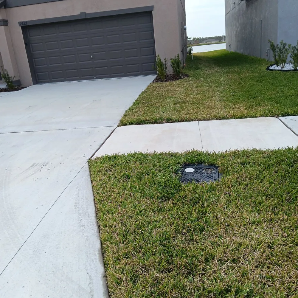 Custom yard cleanup service in Lakeland, FL by Rcp Lawn Services