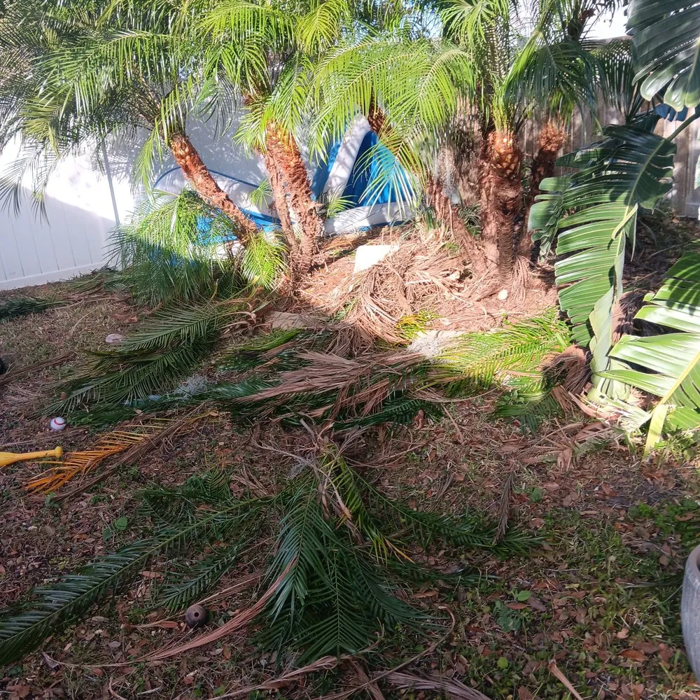 Expert yard cleanup service in Lakeland, FL by Rcp Lawn Services