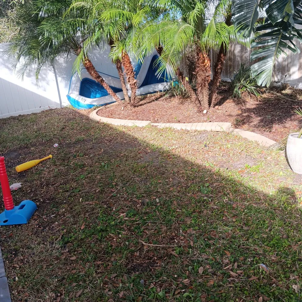 Top-rated landscape installation in Lakeland, FL by Rcp Lawn Services