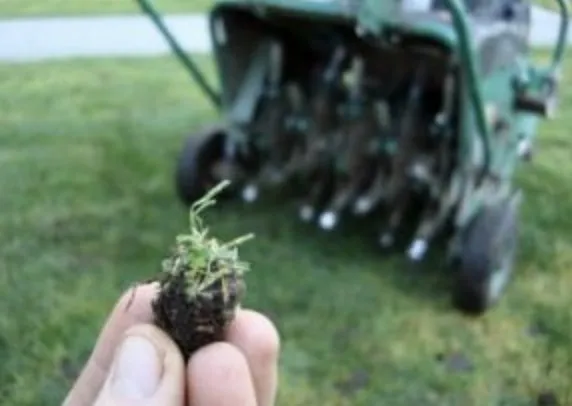 Expert lawn care service in Moreno Valley, CA - Rcs Gardening & Aeration Services