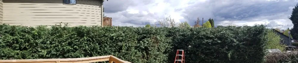 Local garden landscaping in Lake Oswego, OR - RCS Landscaping