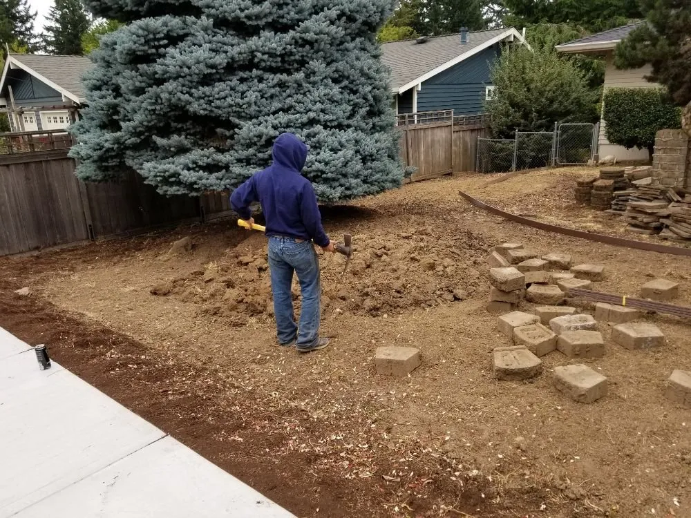 Custom lawn care service in Lake Oswego, OR by RCS Landscaping