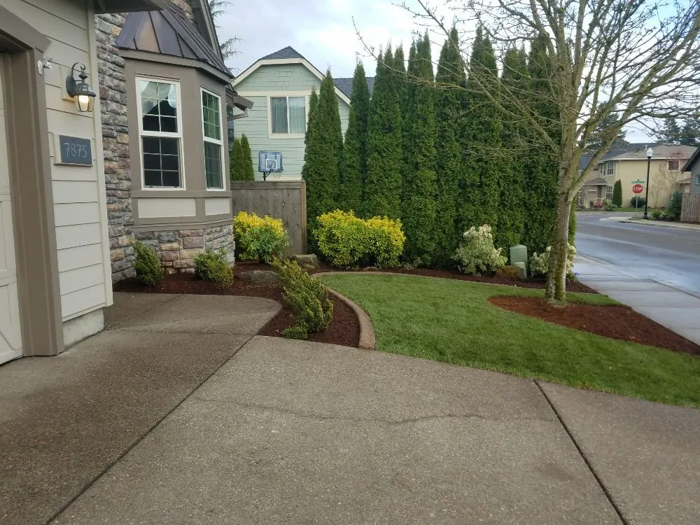 Affordable yard cleanup service in Lake Oswego, OR by RCS Landscaping