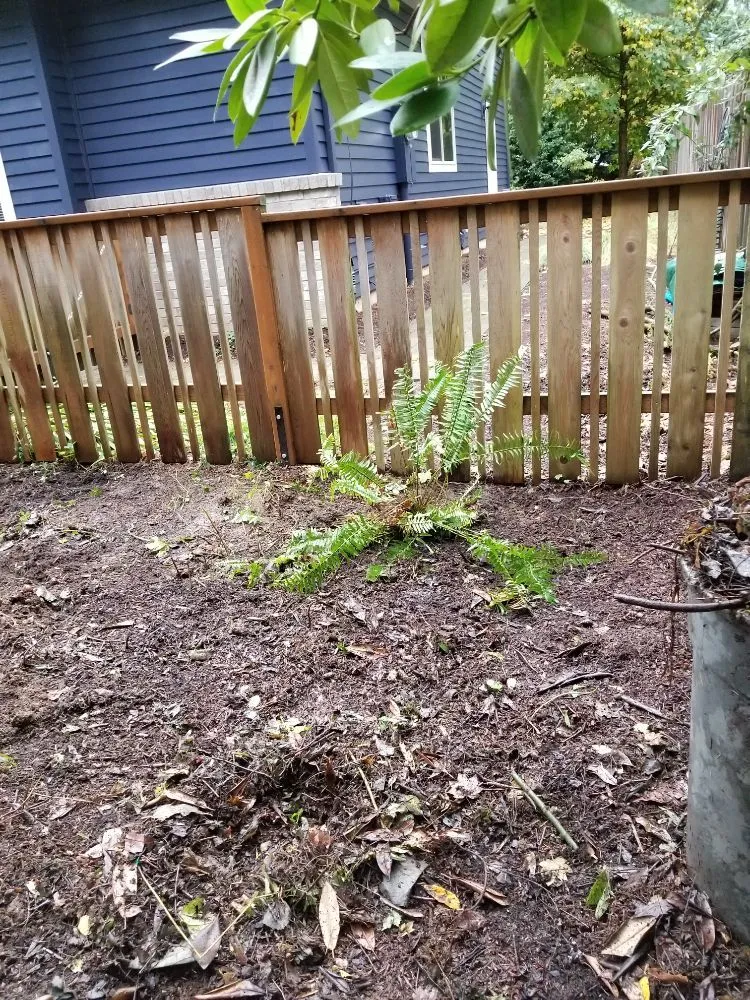 Reliable landscaping services in Lake Oswego, OR by RCS Landscaping